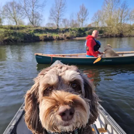 Luxury tent Bridge Glamping - Lunar Tent