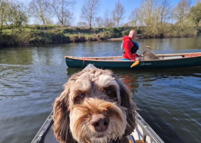 Luxury tent Bridge Glamping - Lunar Tent